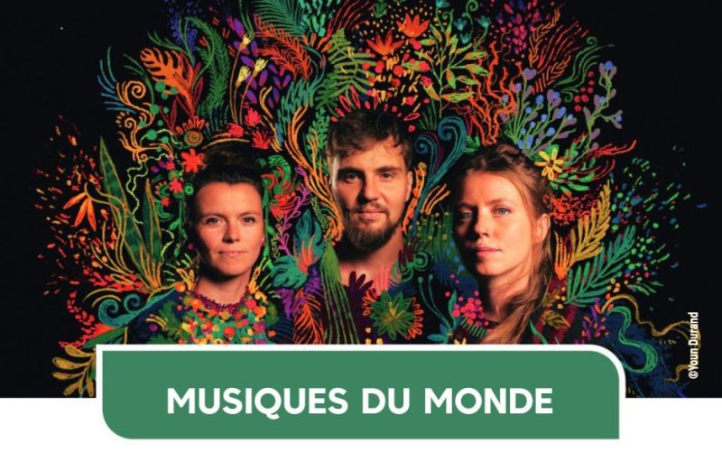 Musiques du Monde - Brazakuja