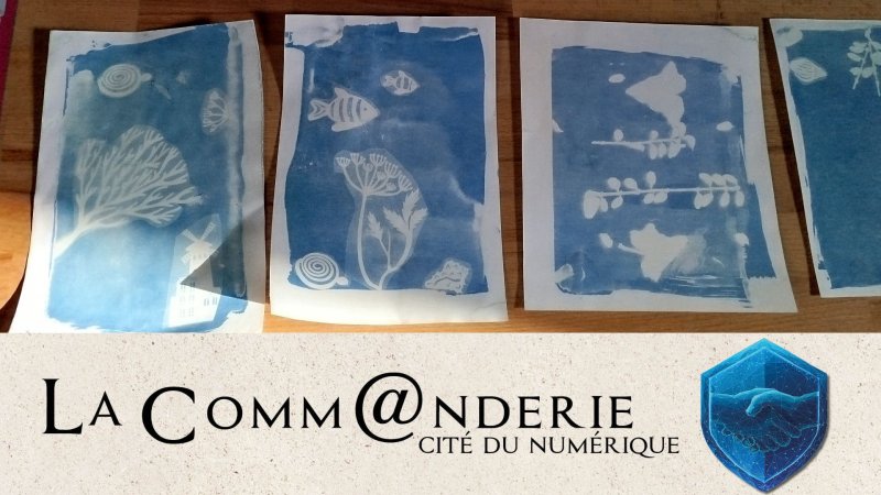 Atelier photo : cyanotype
