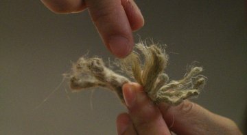 Fibres de bâtisseurs