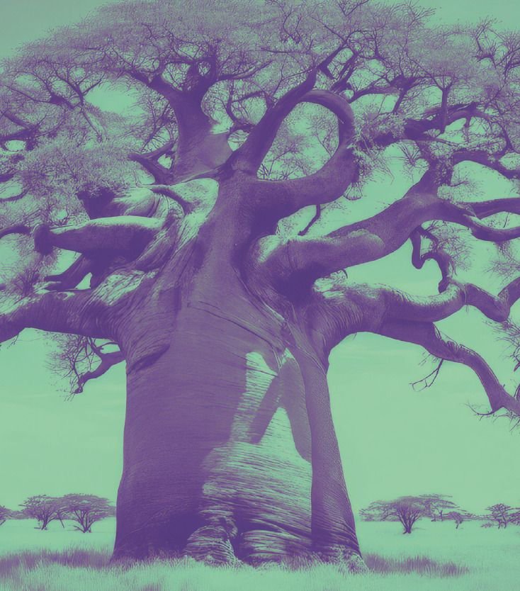 Les Nouvelles Fables du Baobab