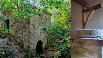 Visite commentée du site, moulin à eau, clairière des chênes, théatre de verdure.