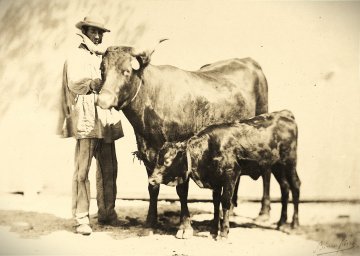 200 ans d'agriculture française à travers la photo