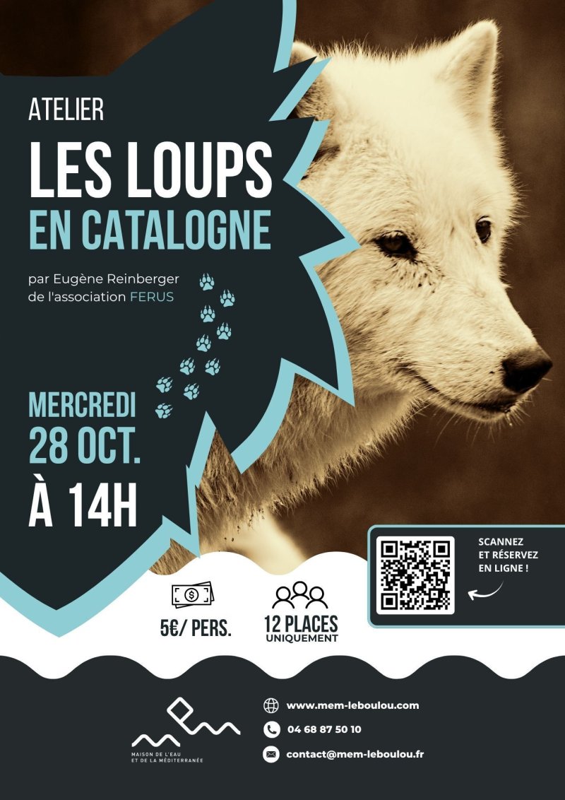 🐺 Spécial Halloween : Les loups en Catalogne 🎃