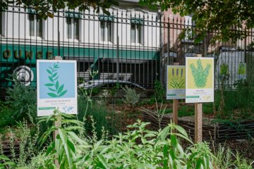 Atelier en famille – Les plantes magiques