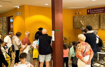 Visites guidées du musée de Tautavel