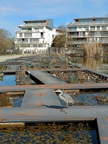 Mutations urbaines dans le quartier de la Bastide