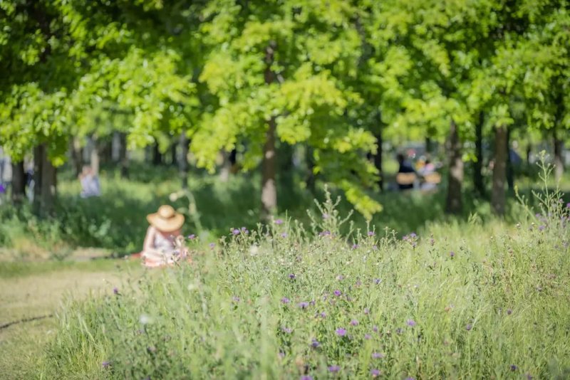 Bordeaux Rive droite, du jardin botanique à la caserne Niel