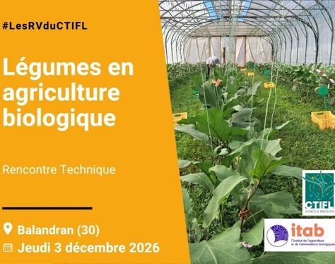 Rencontre technique légumes en agriculture biologique 2026