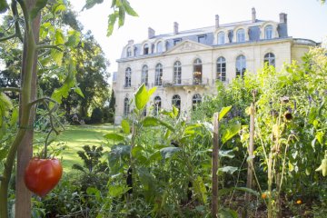 Ministère de l’Agriculture : patrimoine, saveurs et culture en accès libre