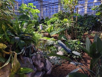 Découverte des serres de collection et des coulisses du Jardin des Plantes