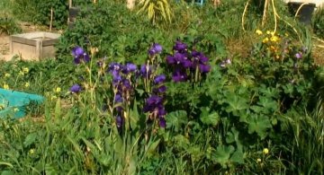 Atelier jardinage : Boutures et bouquins