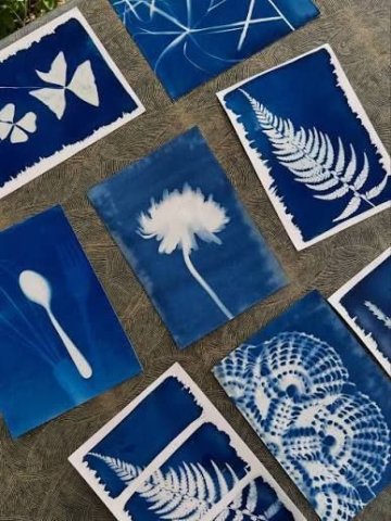 Atelier initiation au Cyanotype