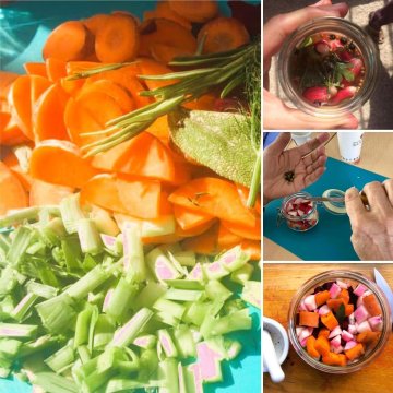 Atelier Lacto-fermentation
