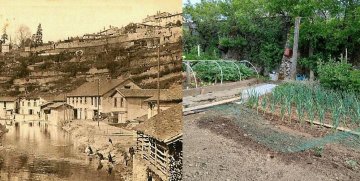 Jardins en péril