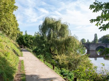 Apéritive Bords de Vienne