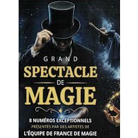 Grand spectacle de magie