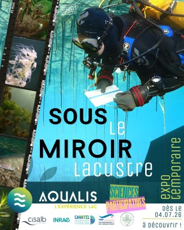 Sous le miroir lacustre