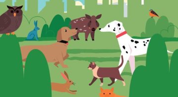 Village associatif "Bien-être animal"