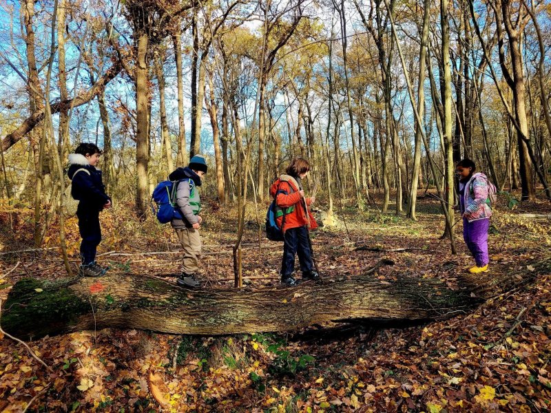 "Mercredi j'ai forêt !" à Saint-Germain-en-Laye