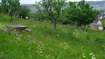 Visite du verger du vallon et son rucher