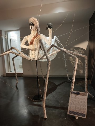 La dentelle comme source d'inspiration
