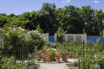 Visite libre du potager du Parc Caillebotte