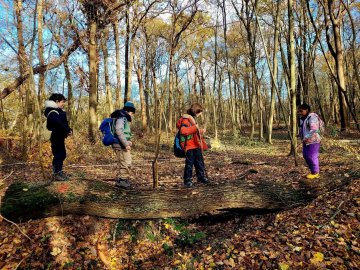 "Mercredi j'ai forêt !" à Meudon