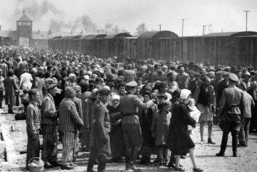 Auschwitz. l'image comme source