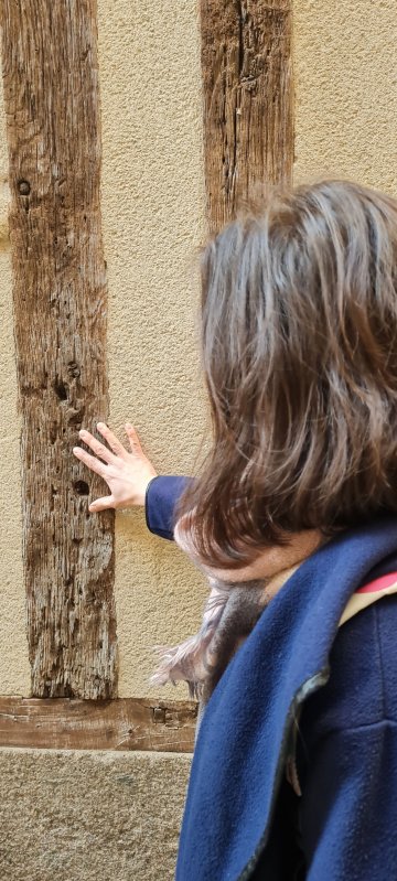 Journées européennes du patrimoine : La ville haute éveille vos sens ! - visite sensorielle