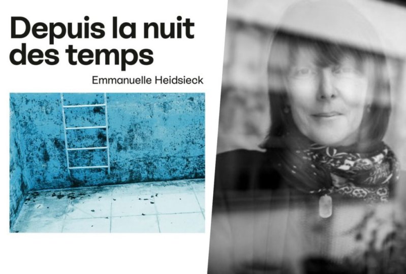 "Refaire société après les ravages du néolibéralisme, une question de langage ?" / Rencontre avec la romancière Emmanuelle Heidsieck