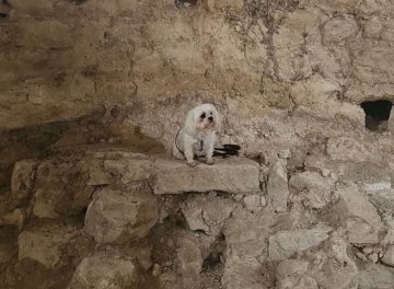 Visite libre de la Chapelle Saint-Martin de Vaudreuille