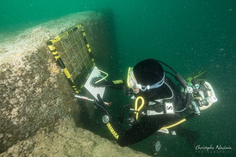 Plongée sous-marine sur les blockhaus engloutis du Bassin d'Arcachon