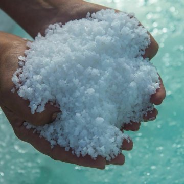 Visite commentée des salines