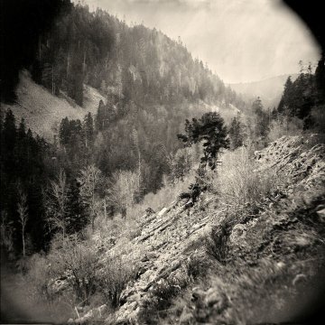 Démonstration : plongez au cœur des origines de la photographie !
