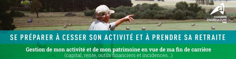 Gestion de mon activité et de mon patrimoine en vue de ma fin de carrière (capital, rente, outils financiers et incidences,…)
