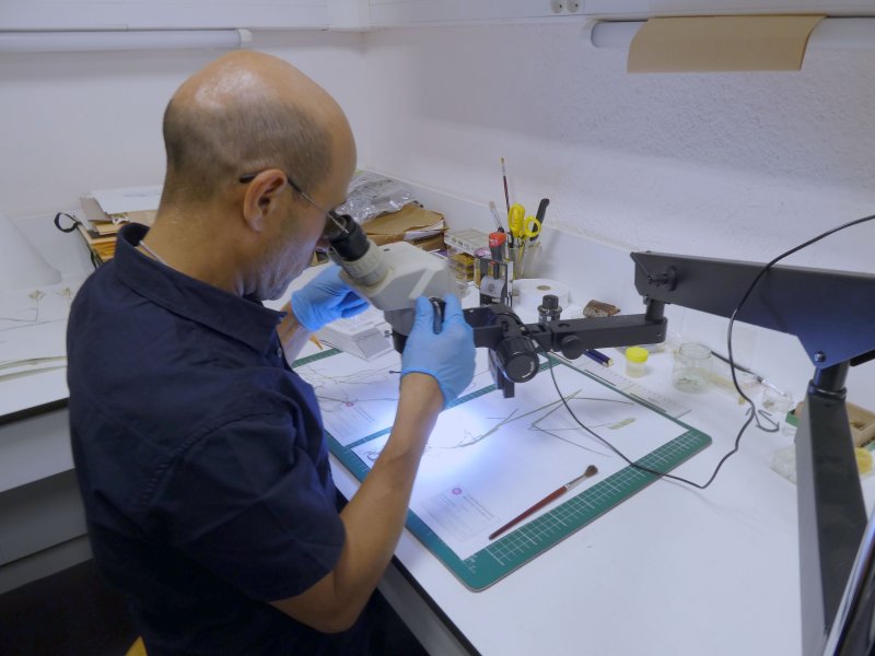 Dans les coulisses du muséum