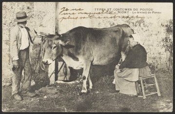 Visites libres et commentées - Exposition : L’histoire est dans le pré. Mutations de l’agriculture dans les Deux-Sèvres au XXe siècle
