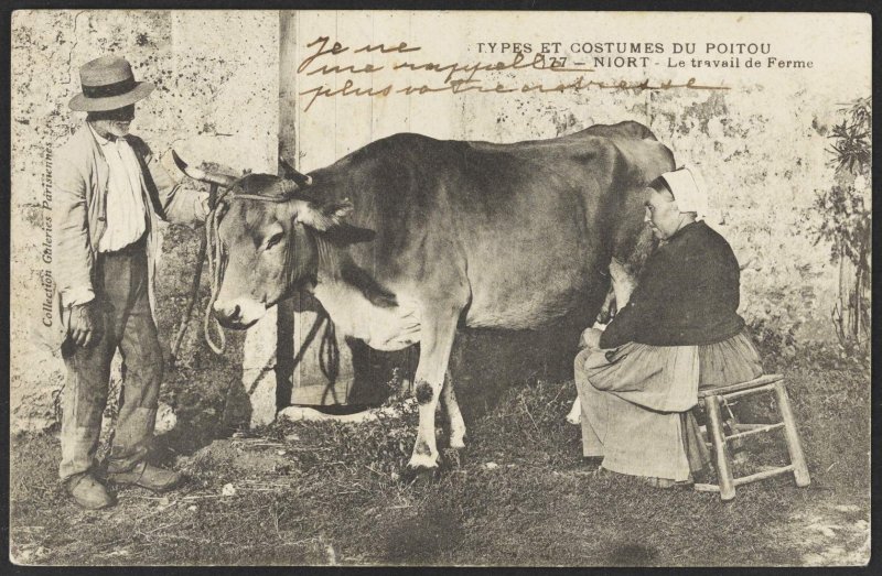 Visites libres et commentées - Exposition : L’histoire est dans le pré. Mutations de l’agriculture dans les Deux-Sèvres au XXe siècle