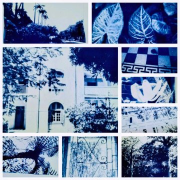 Ateliers créatifs cyanotype - « Patrimoine de la photographie »