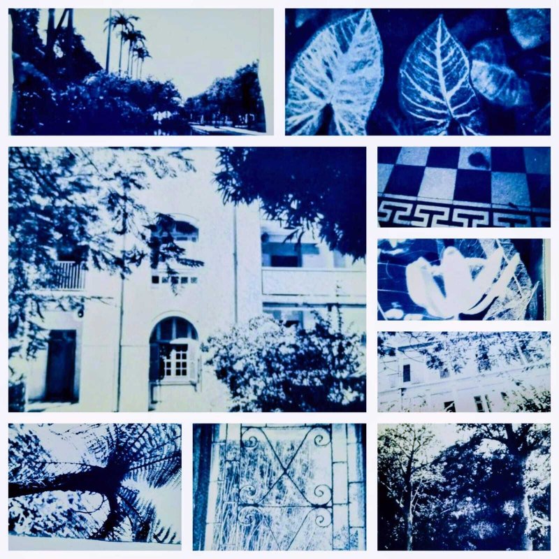 Ateliers créatifs cyanotype - « Patrimoine de la photographie »