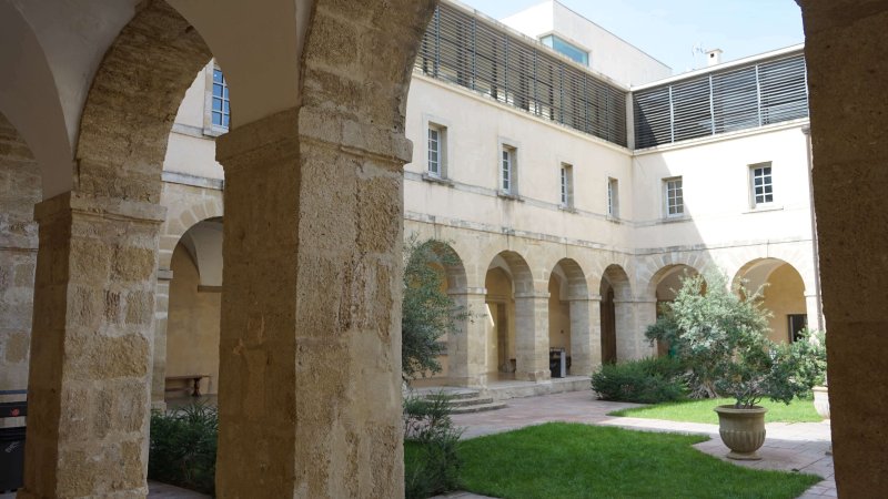 Visite guidée de la Faculté de Droit de Montpellier