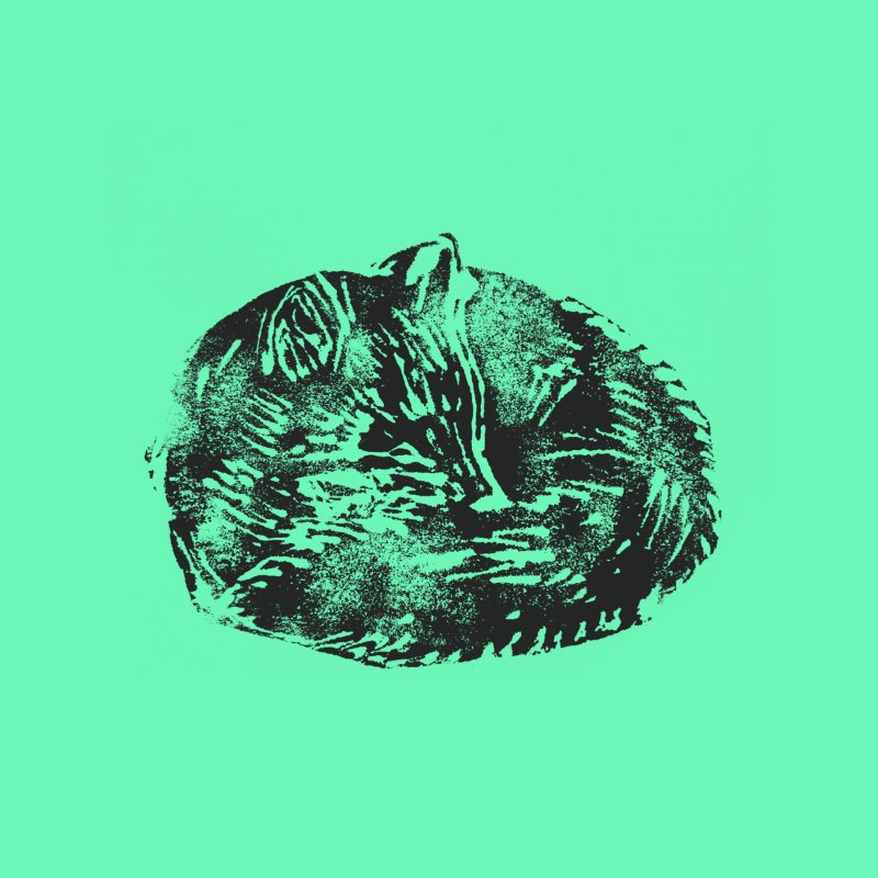Atelier créatif et patrimonial : Animaux d'ici & mots d'autrefois