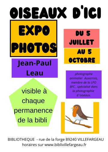 Découverte de PHOTOS D'OISEAUX D'ICI - Jean Paul LEAU