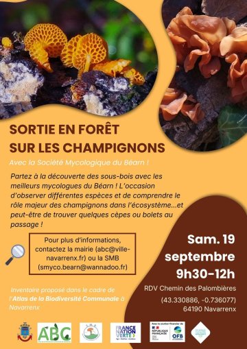 Sortie champignons
