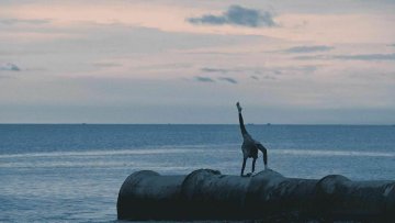 Avant-Première et représentation acrobatique