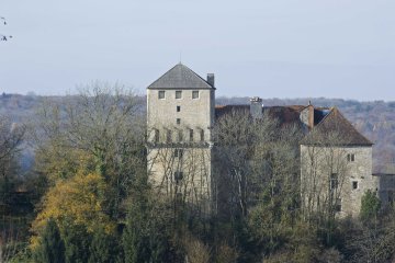 Visites guidées et animations historiques au château de Valleroy