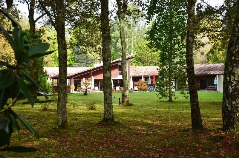 Archi-tour : l'architecture de René Guichemerre