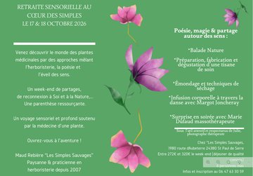 Découverte des plantes médicinales