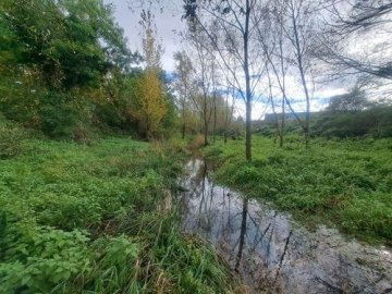 Balade du Petit Gardon