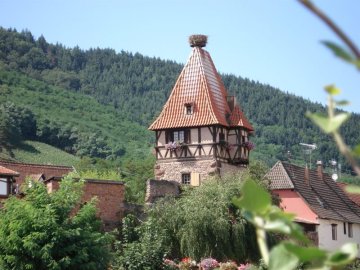 Journées européennes du patrimoine 2026